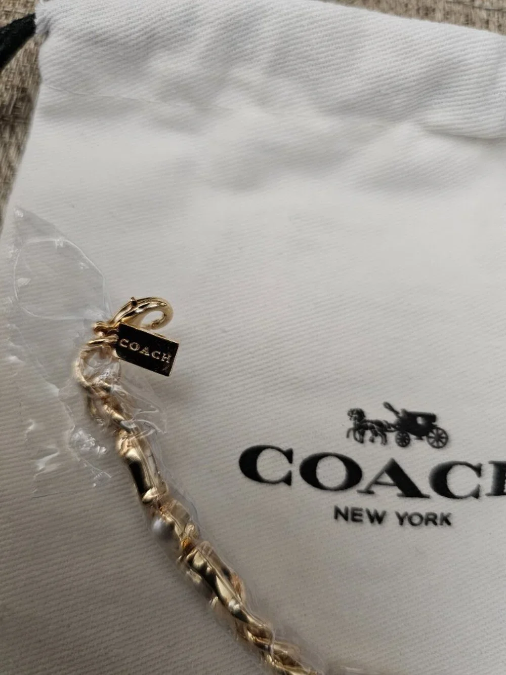 Coach Gold Mixed Link Rope Chain Statement Bracelet Pearl -Pouch Box NWOT